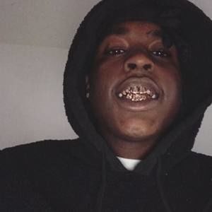 Meet your Posher, Lamelle